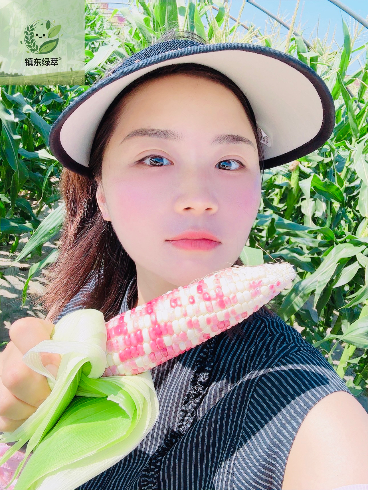 【现掰现发】如东本地甜紫花糯玉米 新鲜带壳 农家自种 甜糯口感