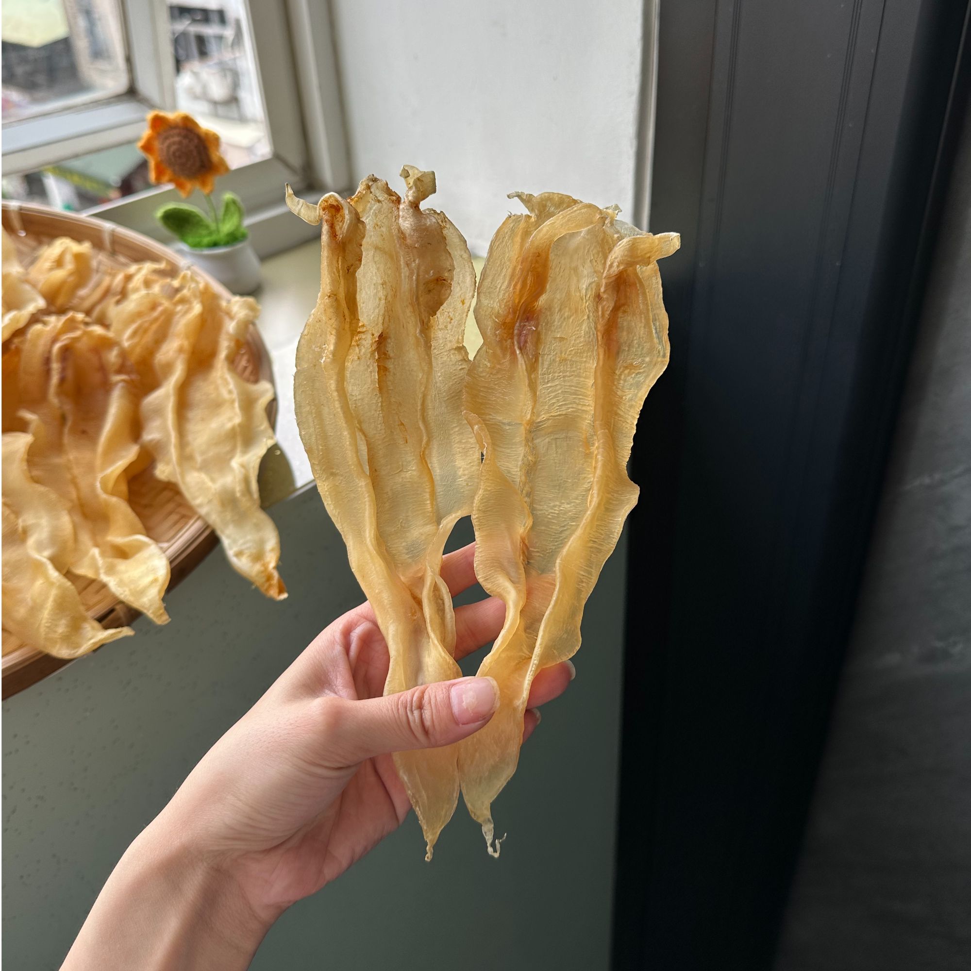 H114391-2 裕初 北海公胶250-500g 鱼胶 花胶 广东汕头