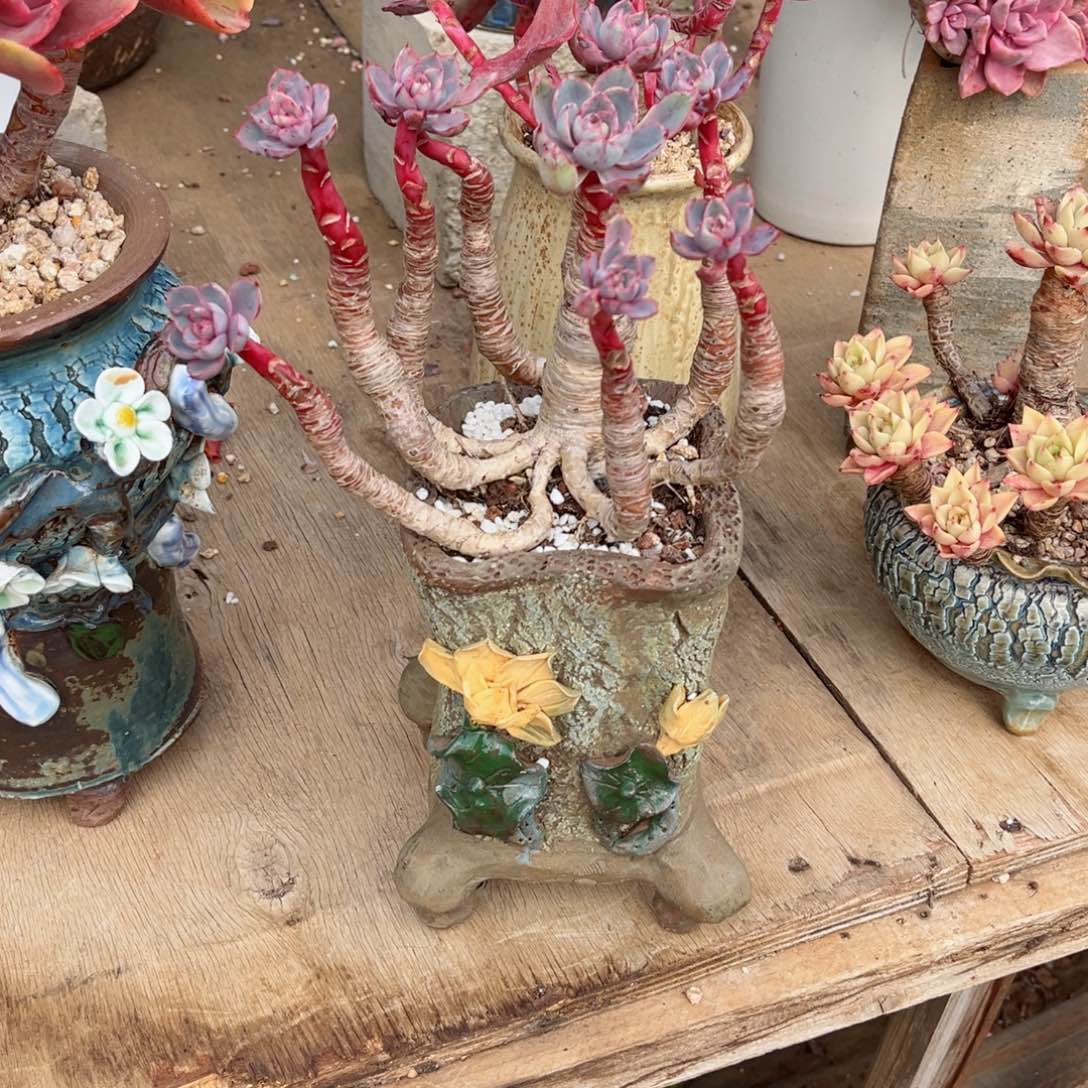 你是不是在＂我也。你的