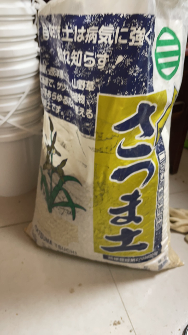 日本进口中村植金石，