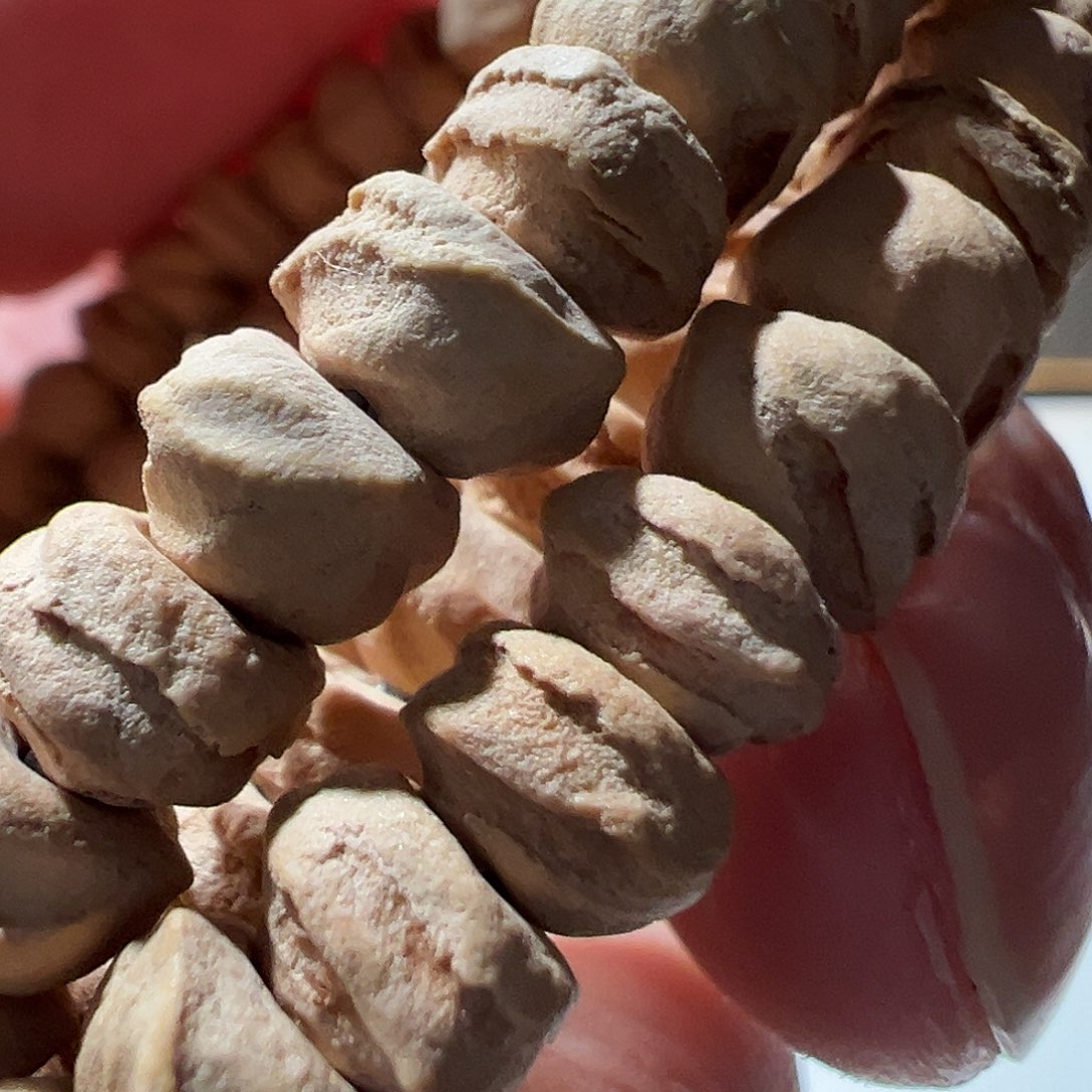 嘎***嘎吊坠柏香籽/百香籽