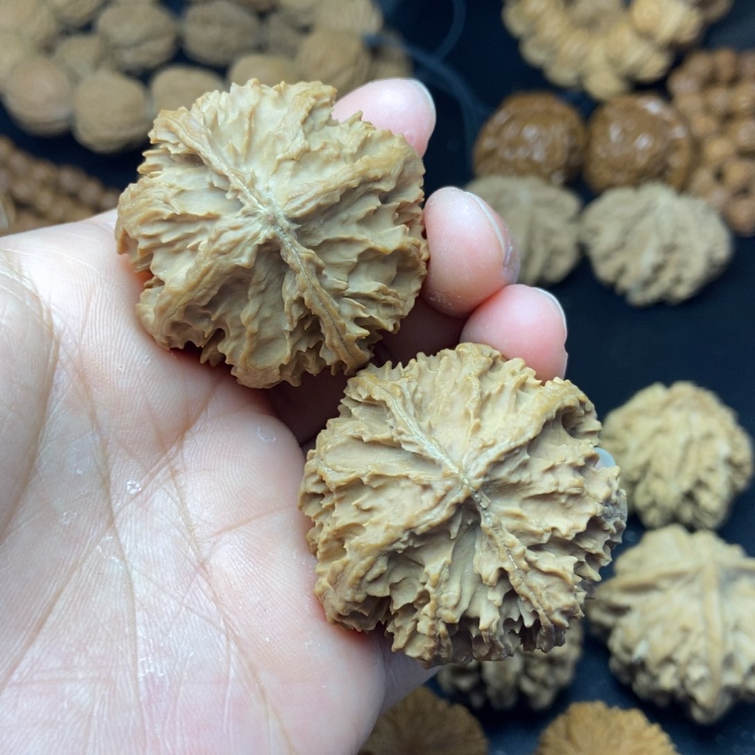 文玩核桃把件秦岭核桃西瓜霸王龙41