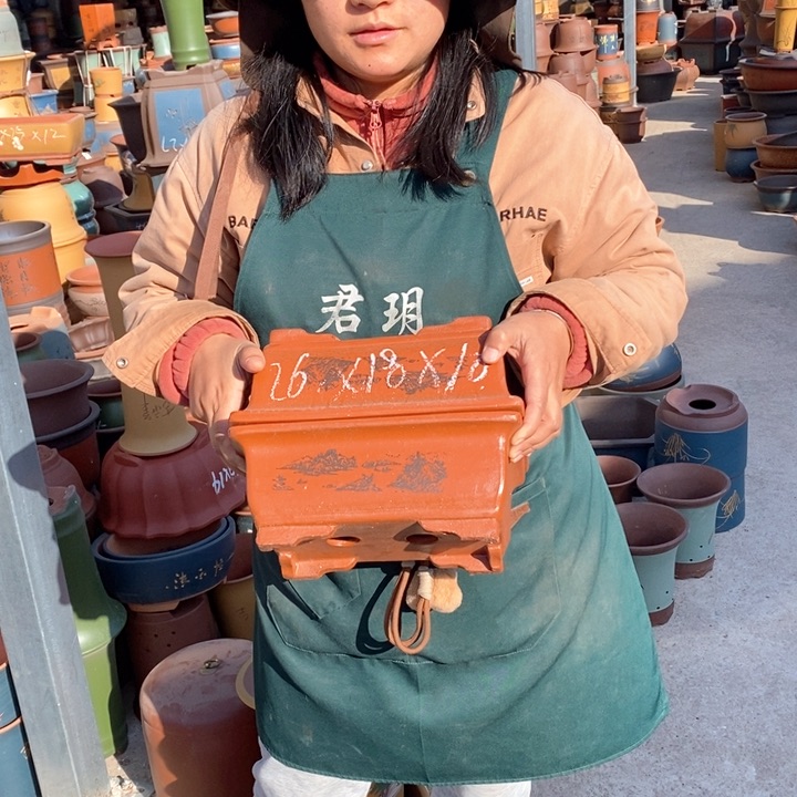 紫砂花盆盆栽花卉苗木种植