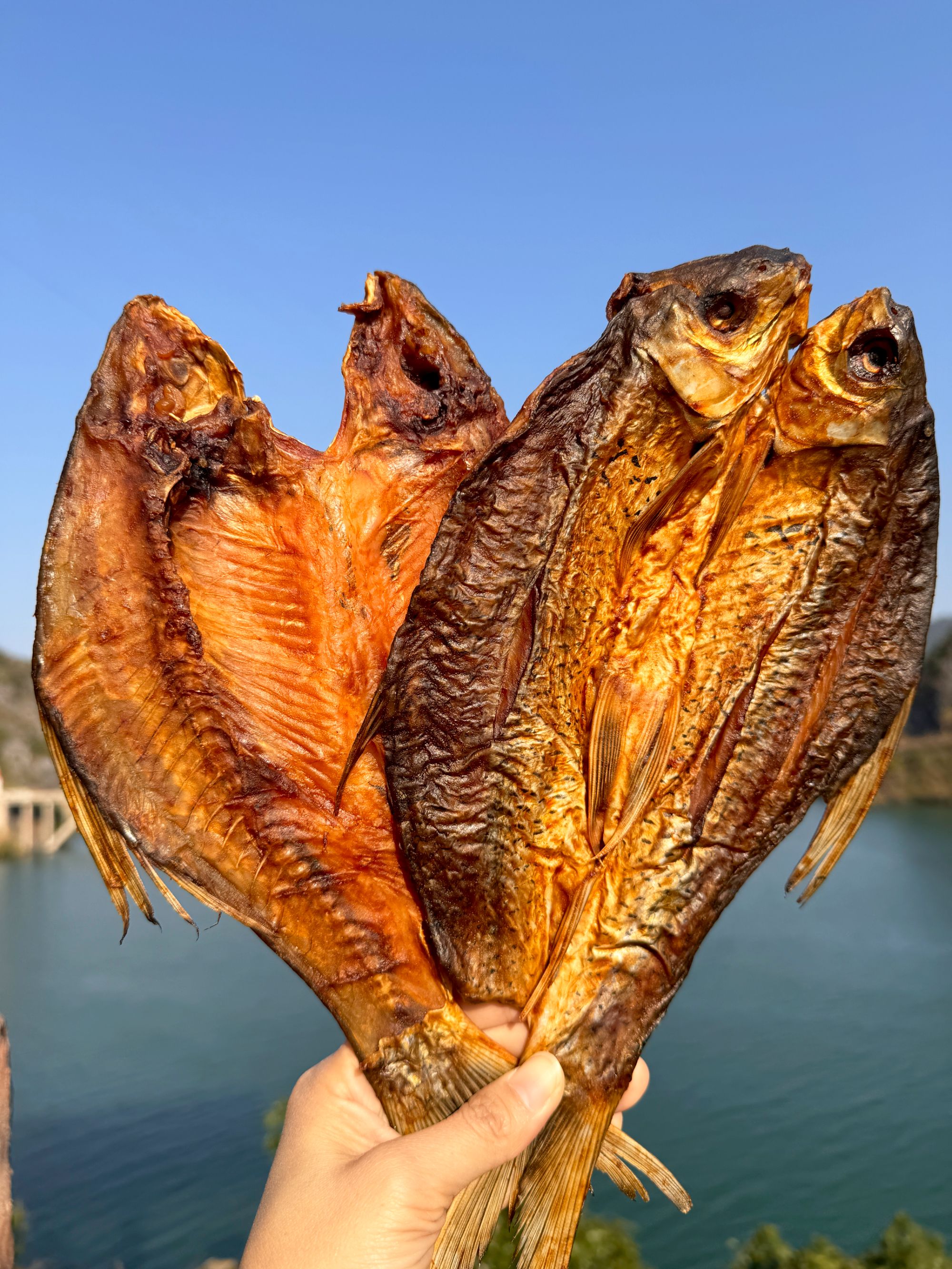 北景野生鲮鱼干 /广西红水河原生态鲮鱼干/乡村土特产