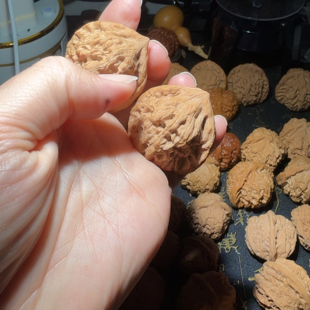 核桃燕山山脉野生小众朱雀