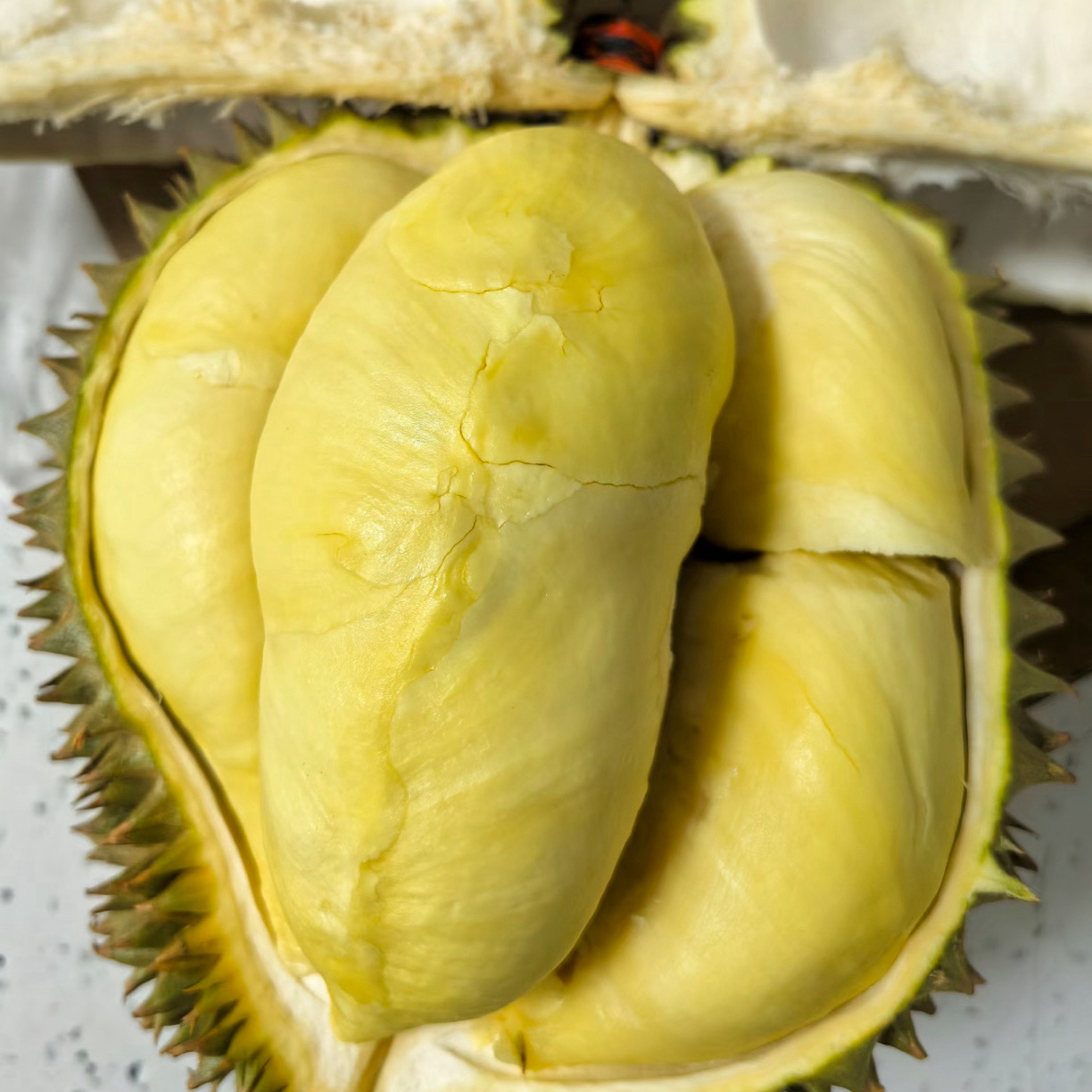 泰国金枕纯肉2斤，新鲜现开，核小。金枕泰国