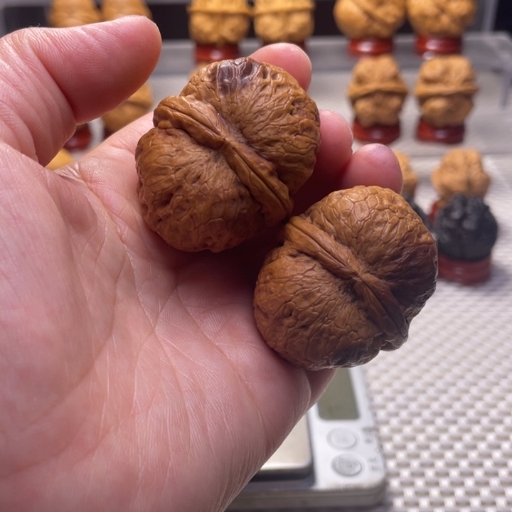 文玩核桃把件13粗筋两