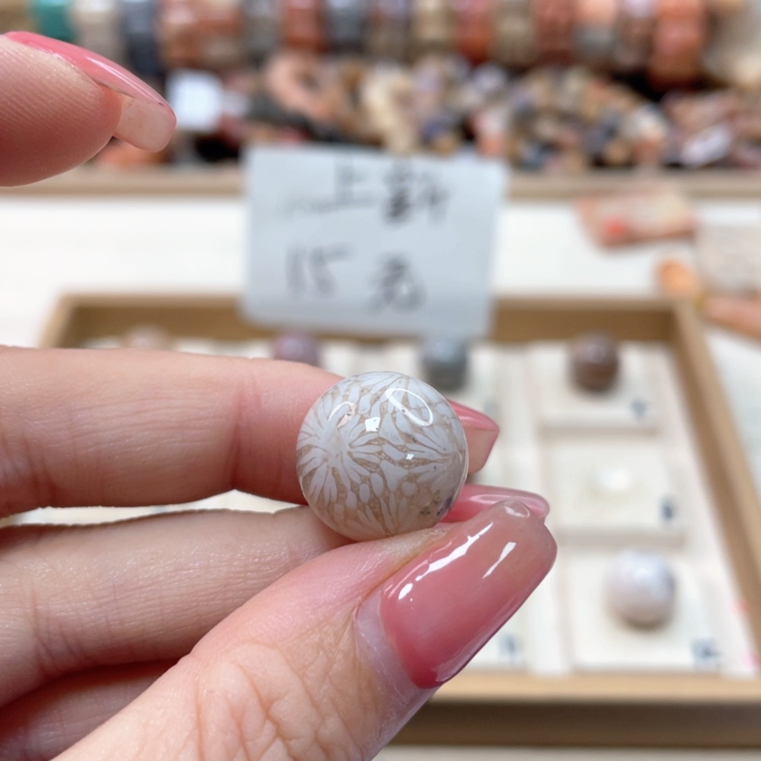 未镶嵌手链硅化珊瑚（珊瑚玉）拜*584