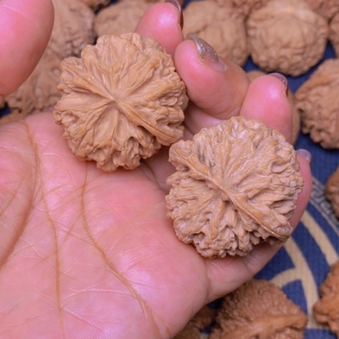 【闪购商品】文玩核桃吊坠用****4苹果40