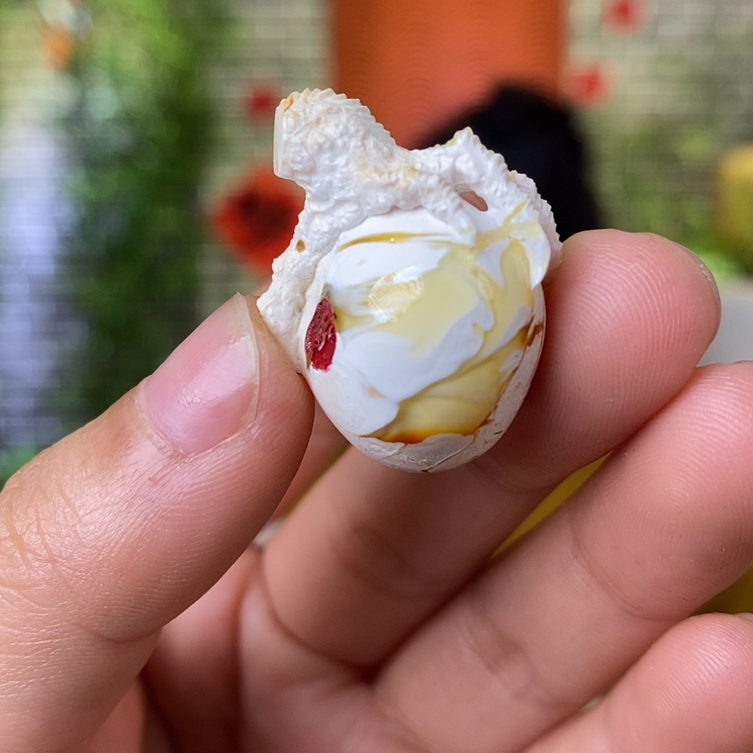 蜜蜡裸石未镶嵌蜜蜡雕刻件