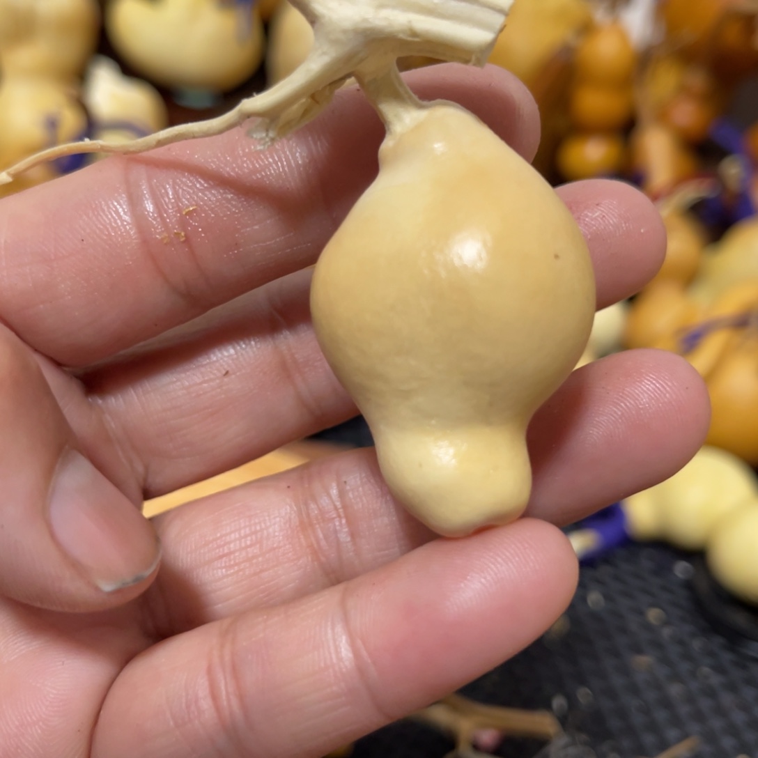 木***土哈哈哈哈哈哈葫芦哈哈