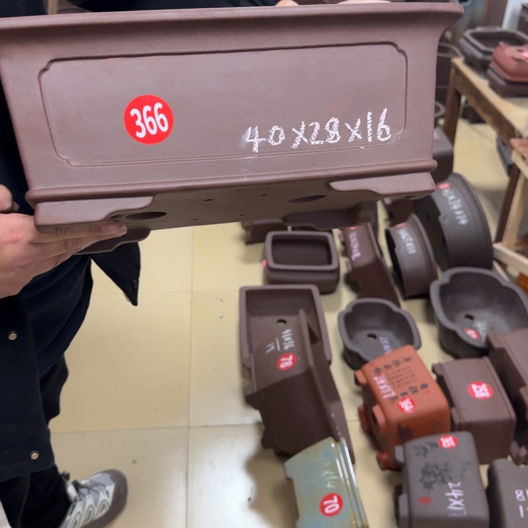 紫砂花盆我呜呜呜呜呜我