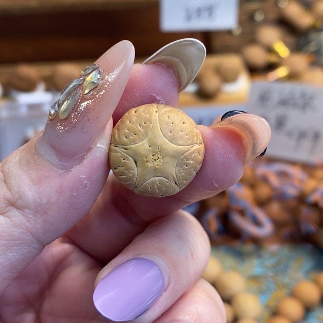 睿***生凤眼菩提吊坠17,6五星单颗