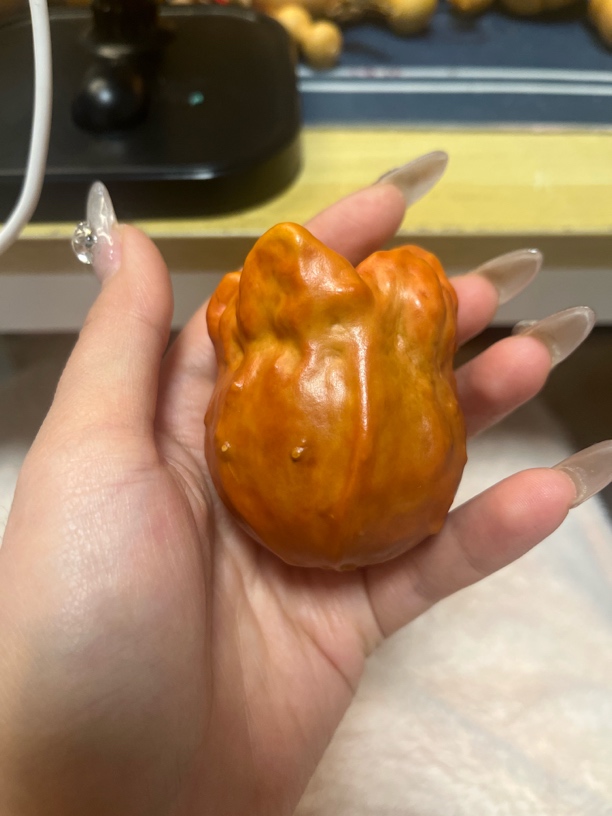精品葫芦直播间专属