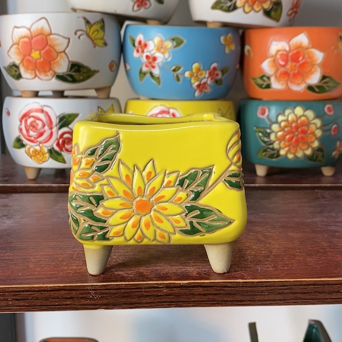 红陶韩式多肉植物花盆