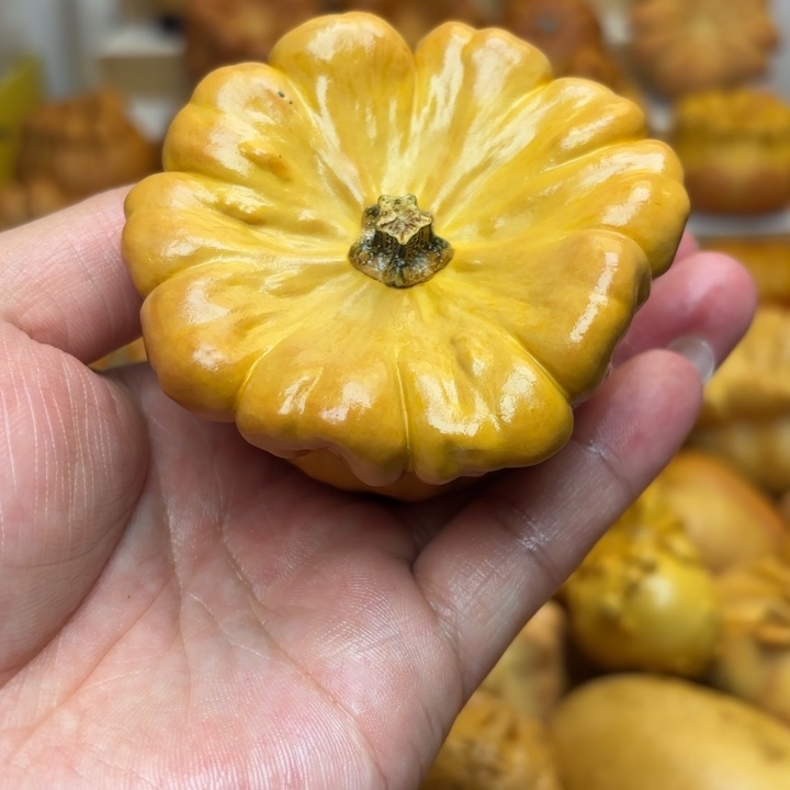 特价福利不退不换