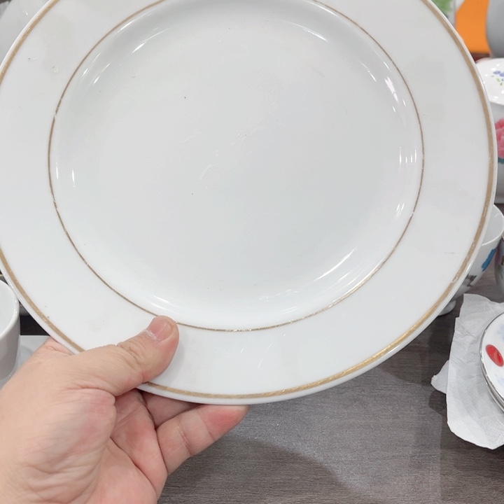 壶釉下五彩的瓷器和瓷器