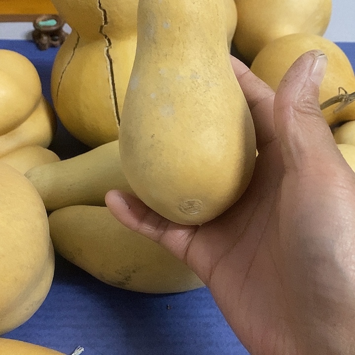 皮****葫芦手把件摆件葫芦