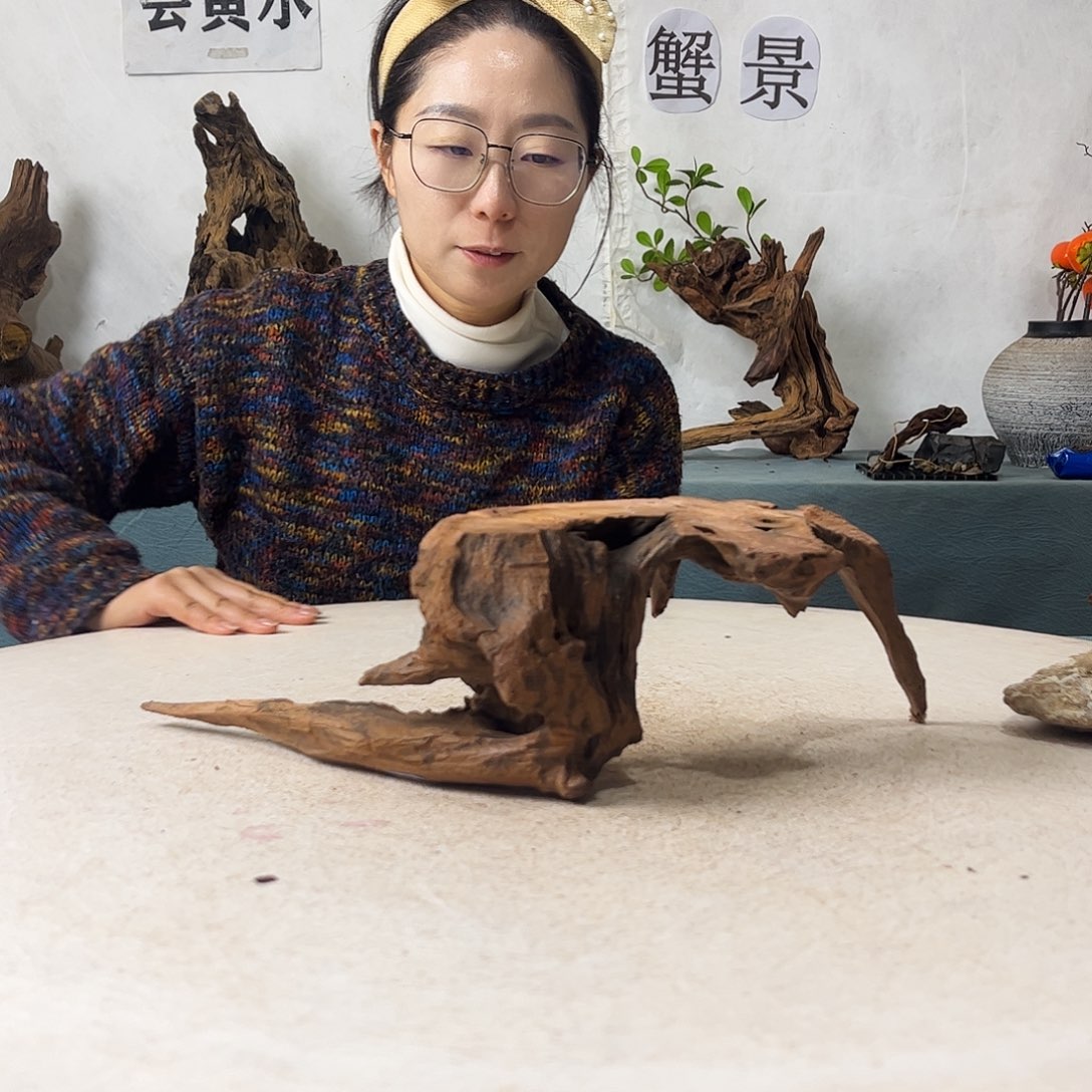 ˖****沉木造景爬宠造景