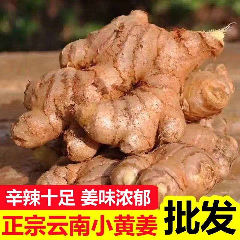 【六百万销量】正宗云南小黄姜老姜月子姜整箱净重1斤起包邮无硫