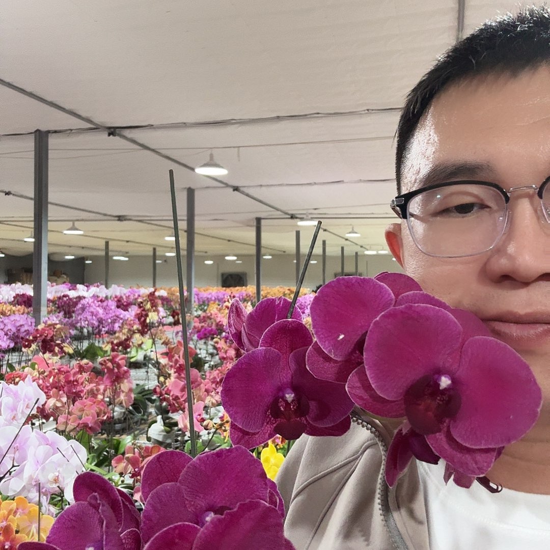 完全开放蒙特勒单剑2颗装