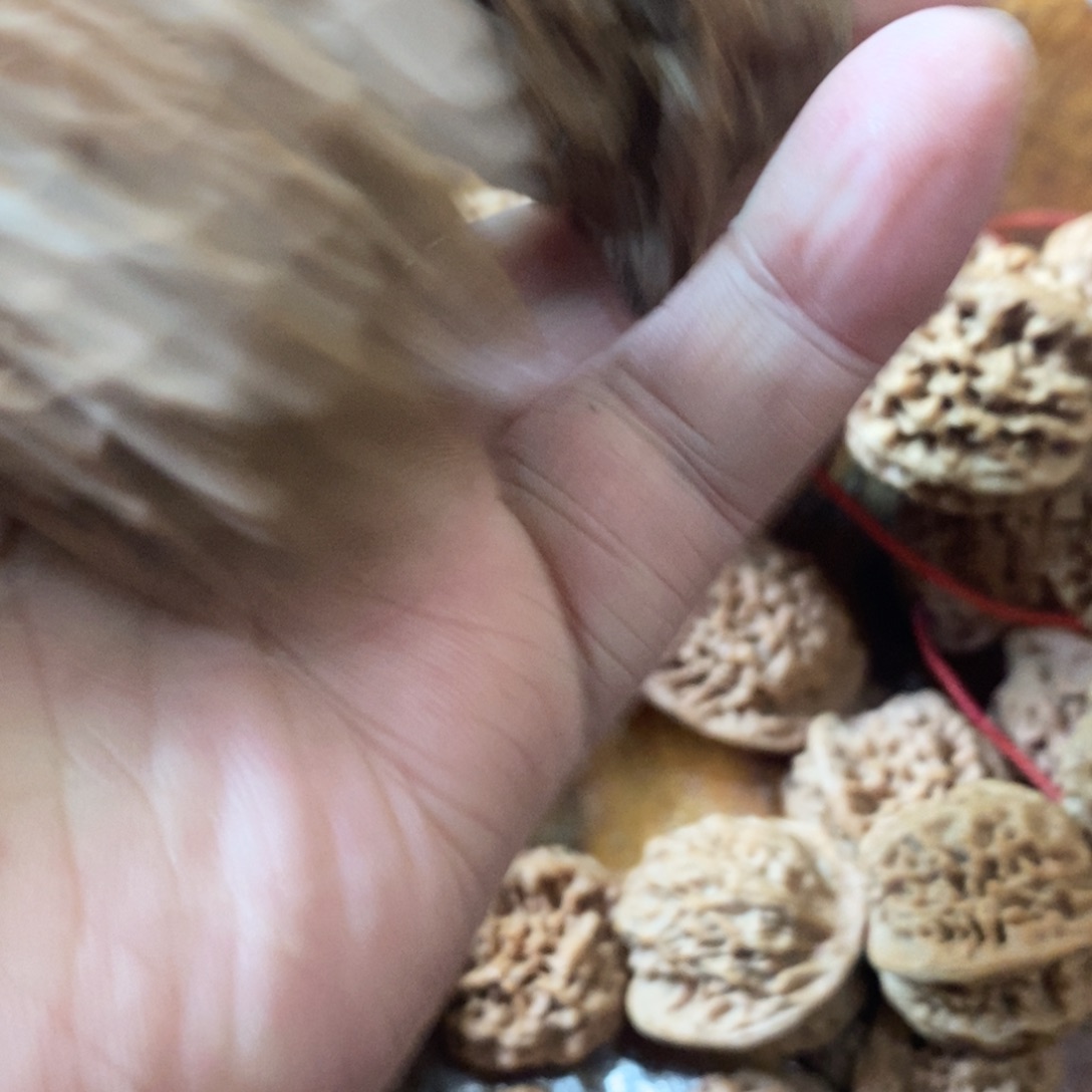 米*秦岭南北区有两块