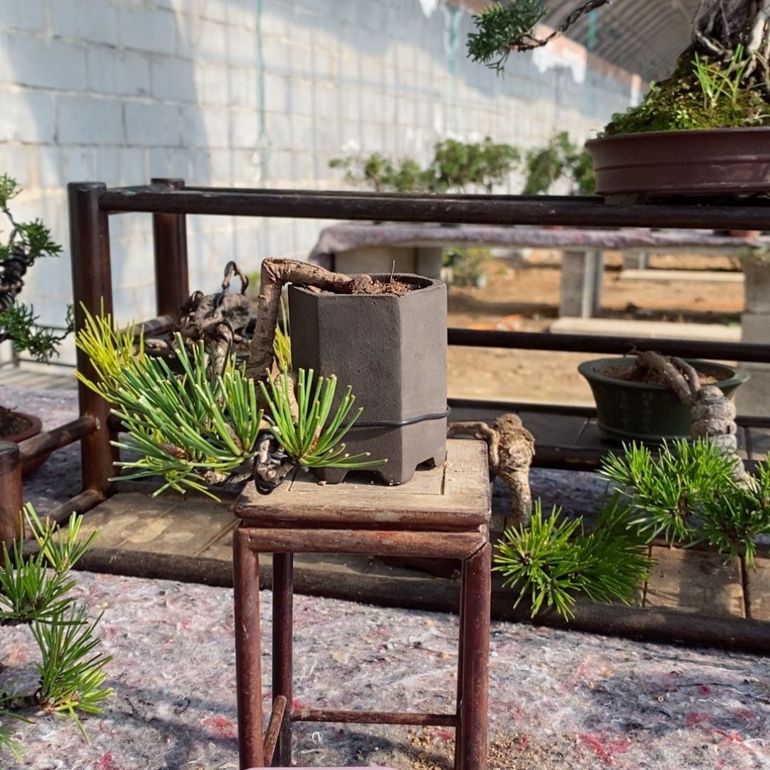 手工艺品琉璃墨*春