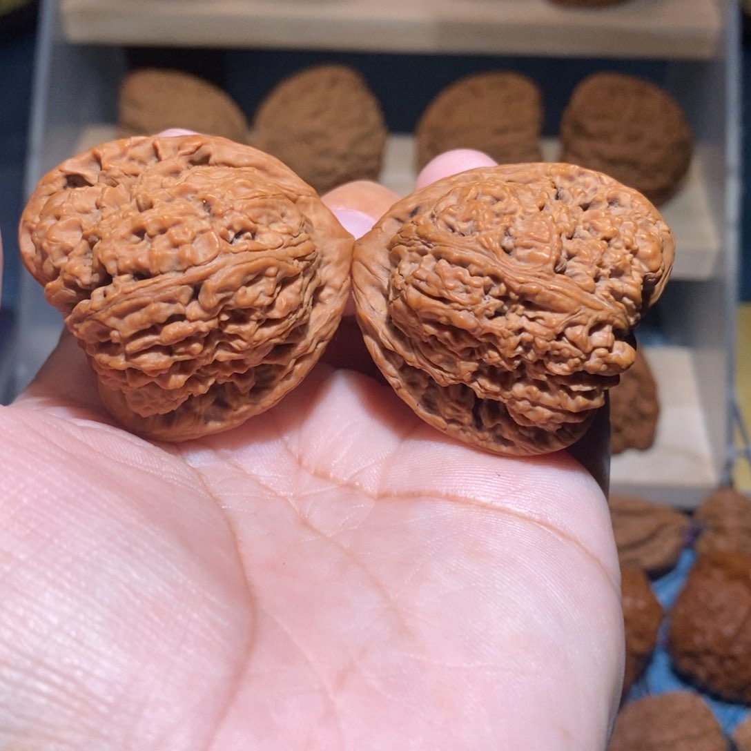 吊坠文玩核桃寻****材全品12年涿鹿老树蝴蝶南疆石