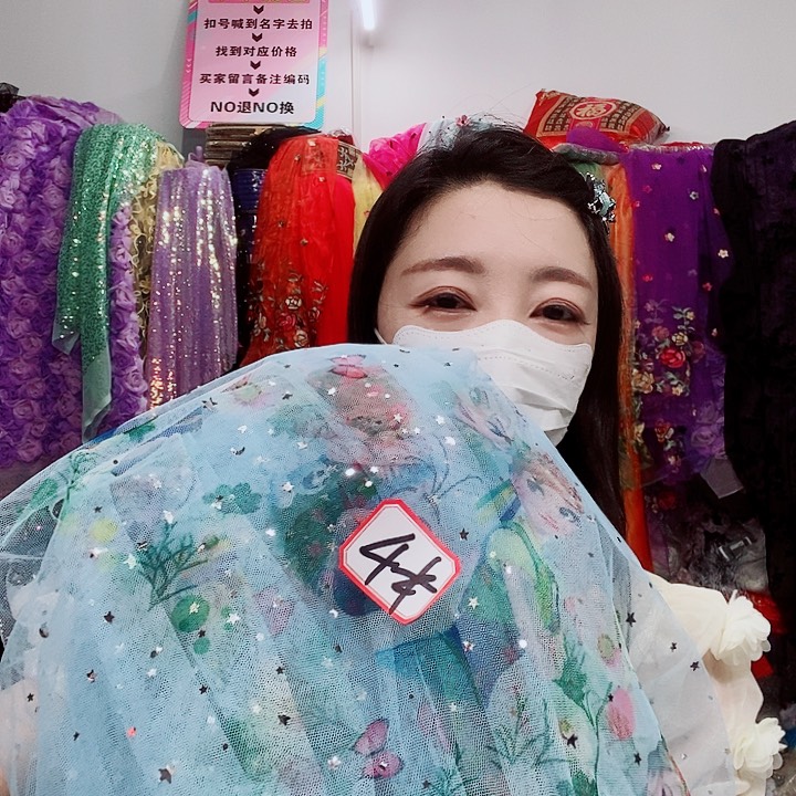 网纱蓝色艾莎网纱