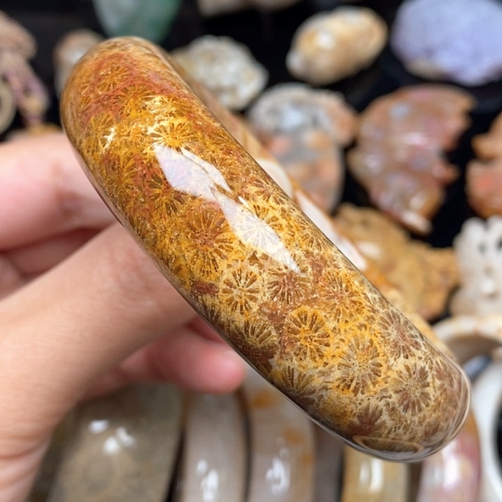硅化珊瑚（珊瑚玉）手镯未镶嵌58.5