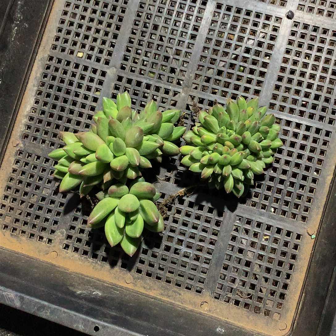 非**人哈哈哈哈哈哈哈哈哈哈