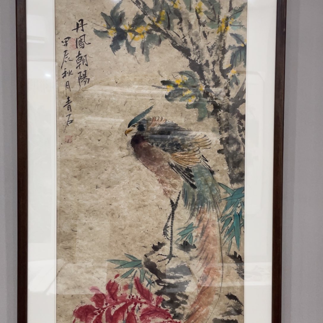 国画飞**悠老师老师老师