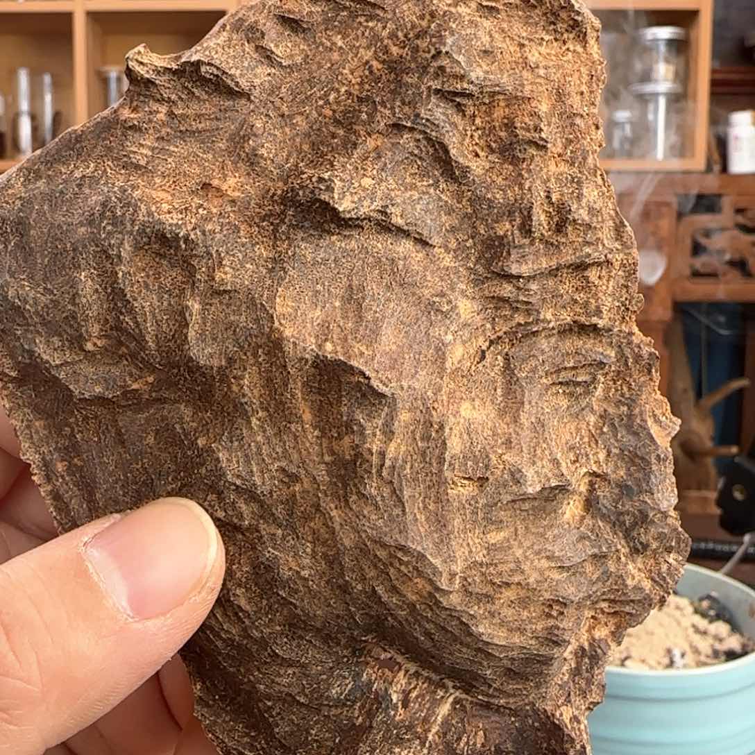 沉香摆件香港沉香老铁头16.7克