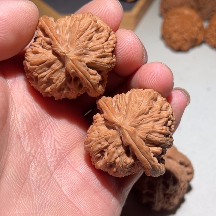 把件文玩核桃40-41白狮子