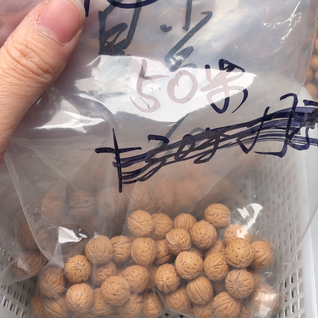 【闪购商品】麦***者散子批发30