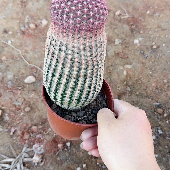 默哈哈哈哈哈哈哈哈