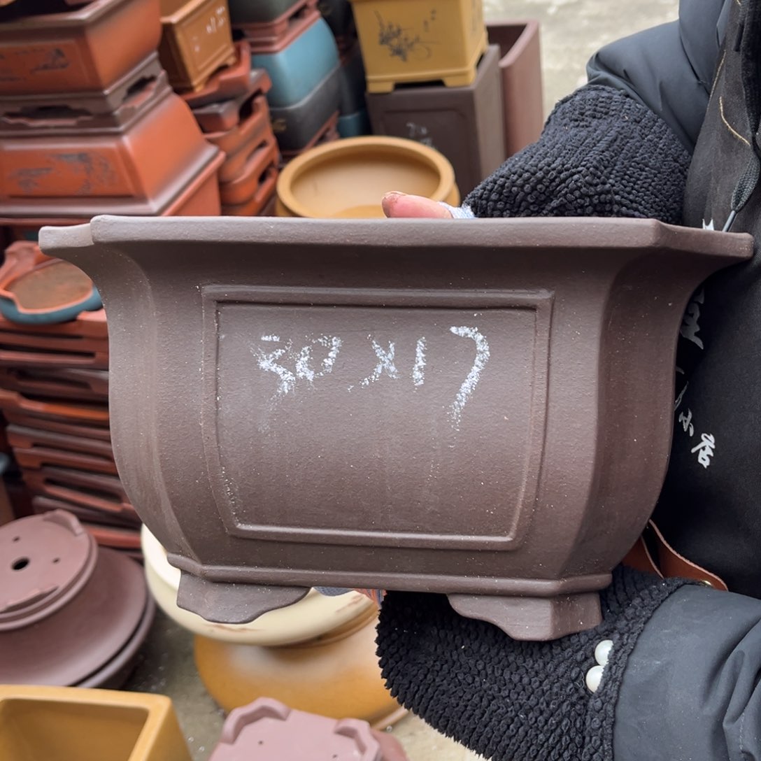 紫砂花盆盆景艺术