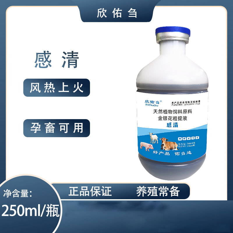 欣佑刍（感清）金银花粗体液