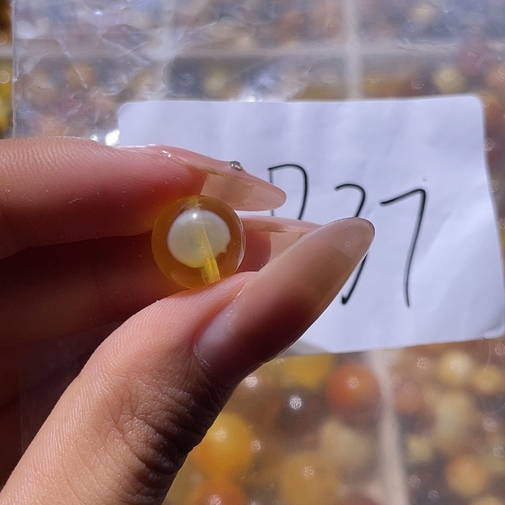 裸石琥珀未镶嵌11.4福利
