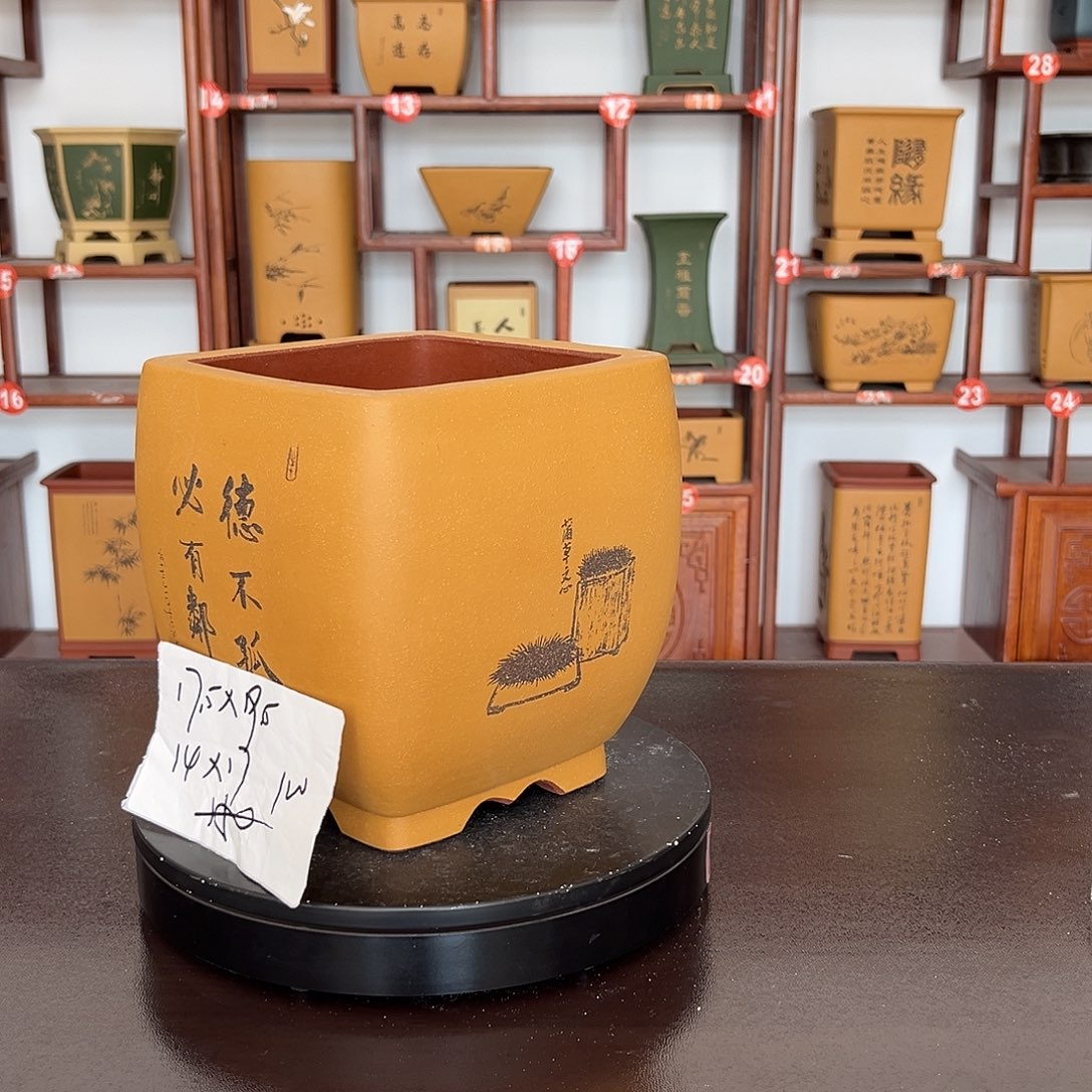 紫砂花盆紫砂花盆