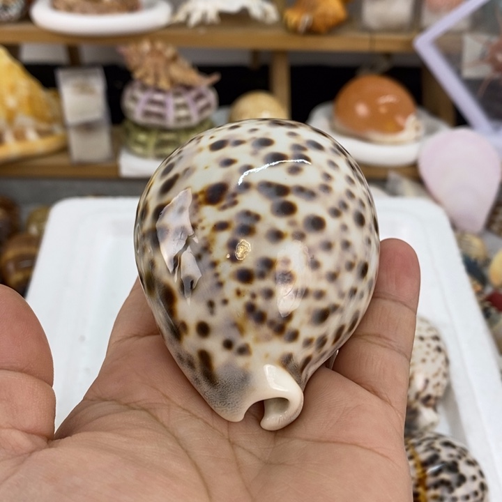 宝宝宝晚安啊宝宝