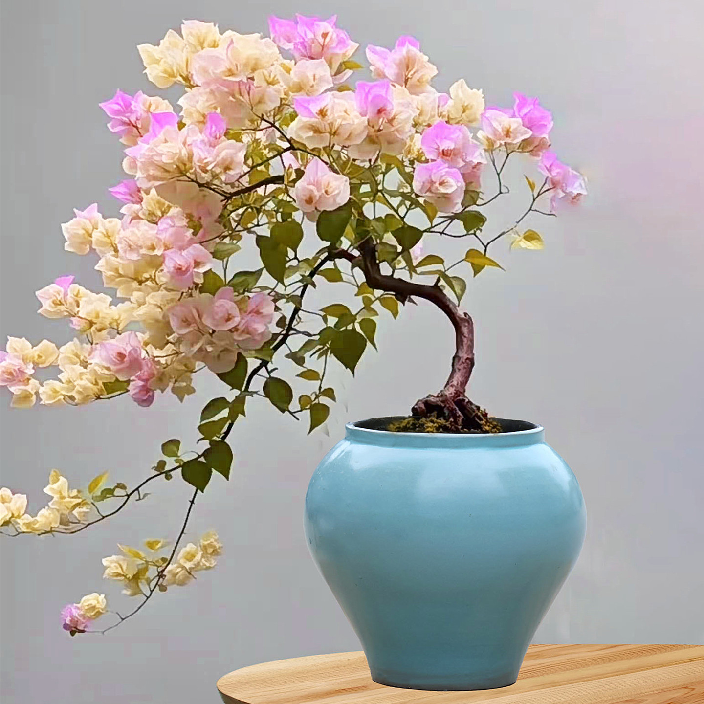 手工大口径多肉花盆绿植粗陶户外庭院三角梅月季透气盆家用落地盆