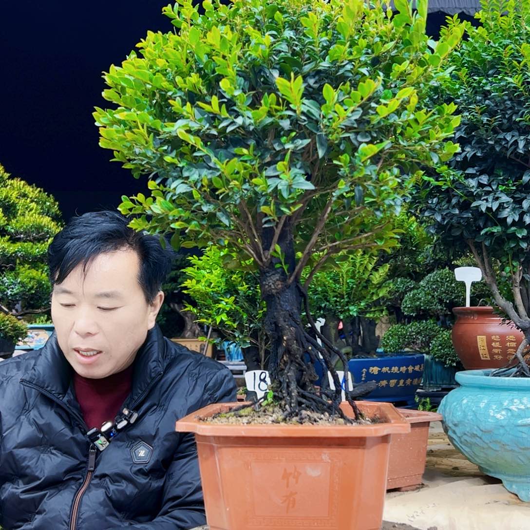 以实际为准隨*君12345678