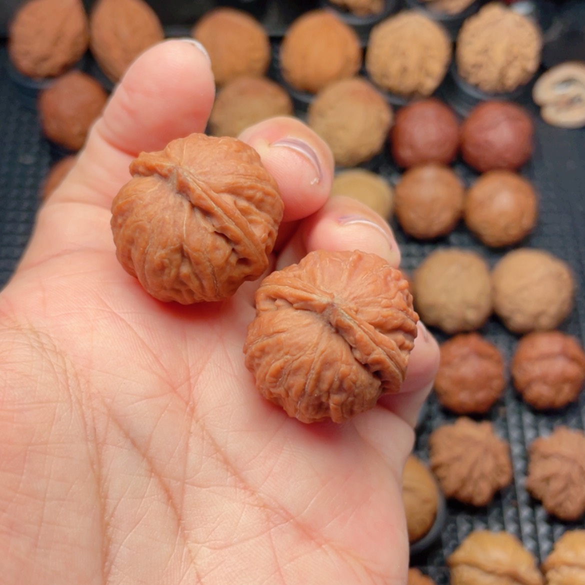 【闪购商品】把件文玩核桃祺**圣小铃铛