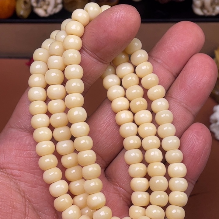 驼骨其他人工养殖