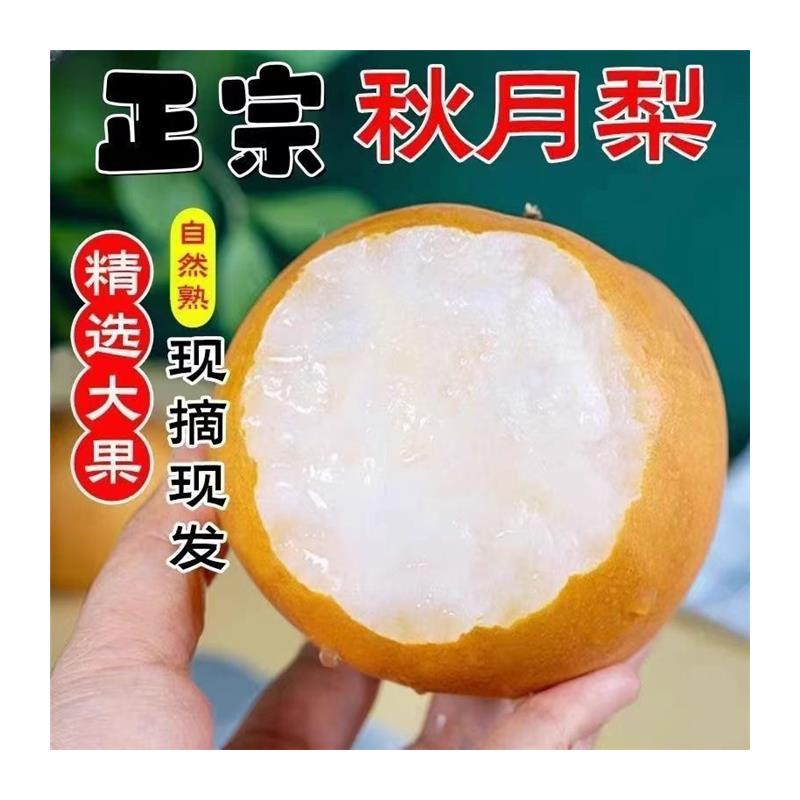 【梨子甄选】正宗秋月梨山东梨子新鲜水果当季整箱冰糖羊脂特大中秋礼盒7斤装江苏省
