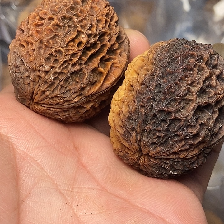 把件文玩核桃云南铁核桃76