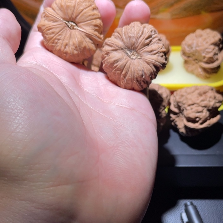 40全品无修南瓜墩