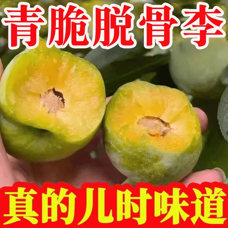贵州李子新鲜水果冰脆李现摘当季应季空心酸甜青脆李脱骨李