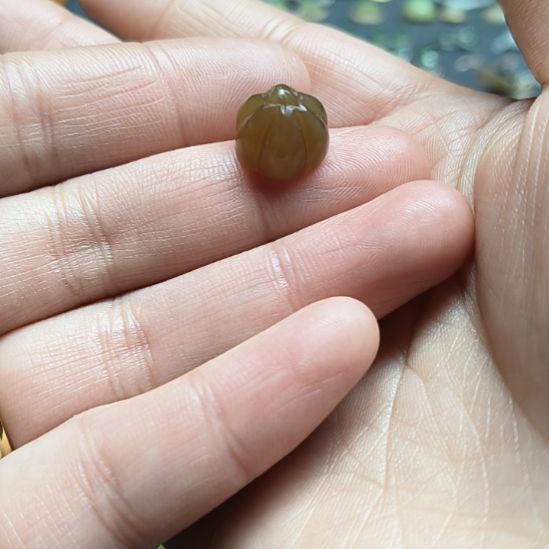 和田玉（糖玉）未镶嵌车挂